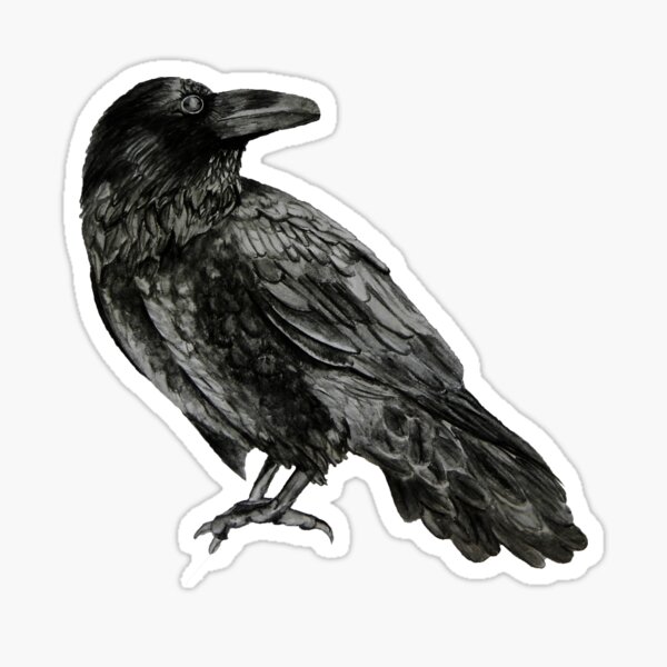 Raven Sticker