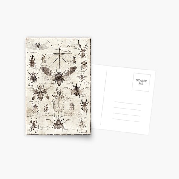 Item preview, Insects designed and sold by mikekoubou.