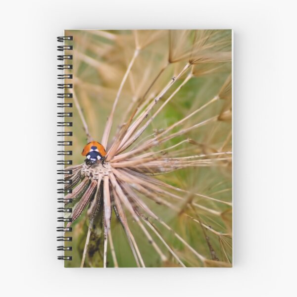 Item preview, Ladybug designed and sold by Diego Re.