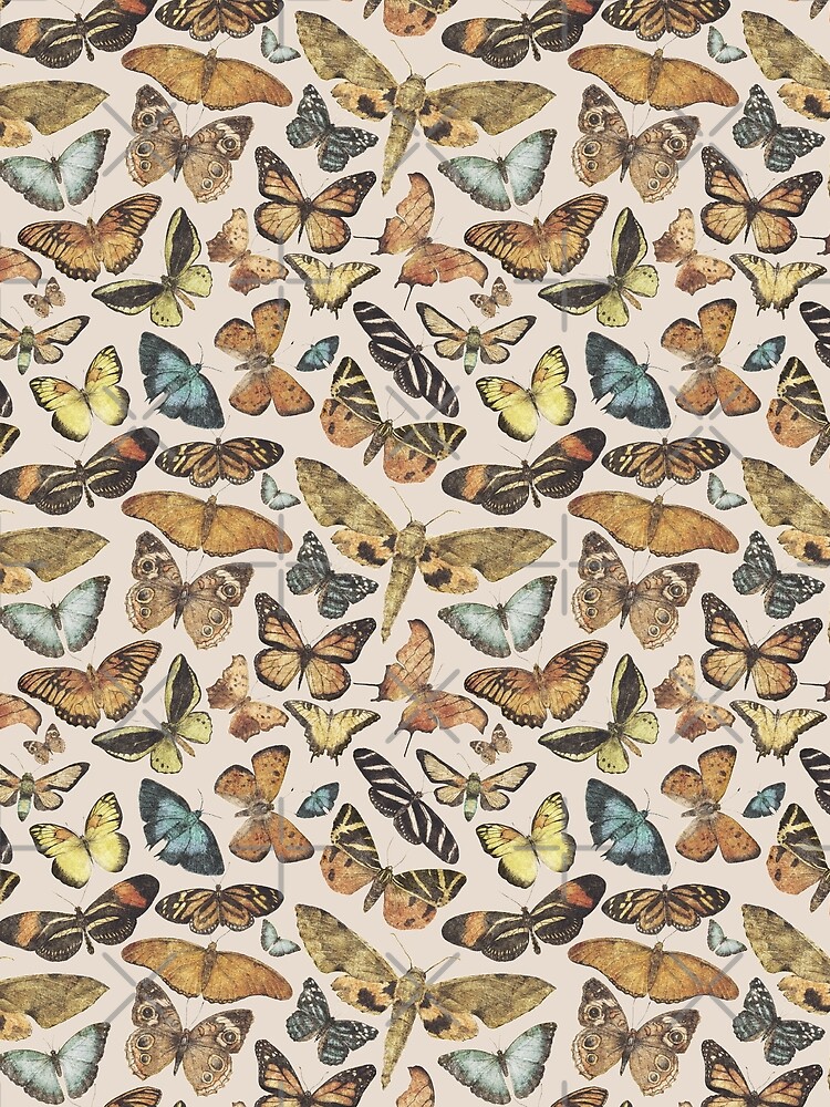 Butterflies and Moths by mikekoubou