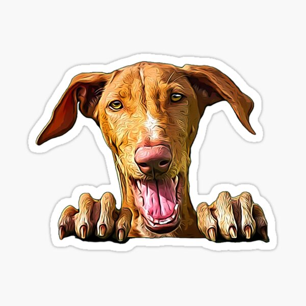Perro Podenco Pegatina