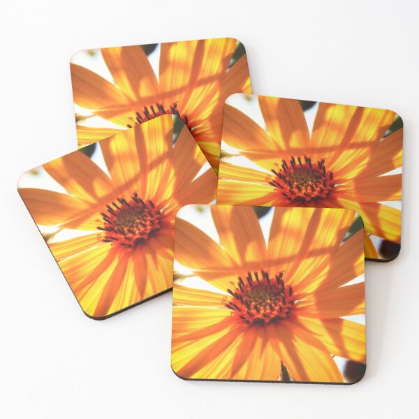 Item preview, Joy designed and sold by Jim Love.