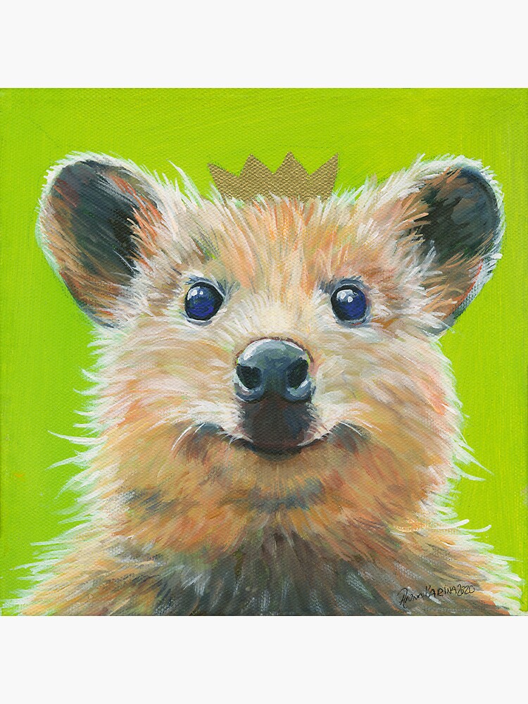 "Quokka, cute Australian shorttailed kangaroo to cuddle" Sticker for