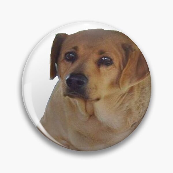 Item preview, wide dog designed and sold by bridgetarena.