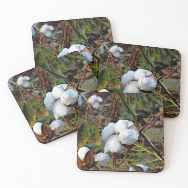 Item preview, Cotton designed and sold by tomeoftrovius.