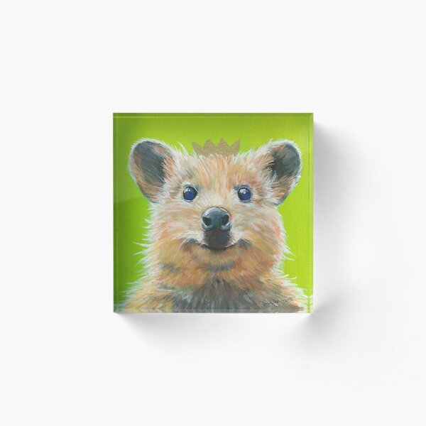 Quokka, Süßes Australisches Kurzschwanzkänguru zum Knuddeln Acrylblock