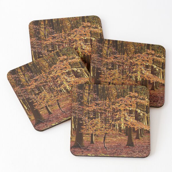Item preview, Photograph, digital art, Sunlit Beech tree in autumn splendour  designed and sold by SimonJohnson1.