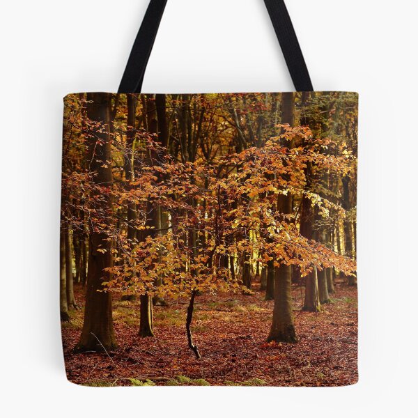 Aperçu de l'œuvre Photographie, art numérique, hêtre ensoleillé dans la splendeur de l'automne créée et vendue par SimonJohnson1.