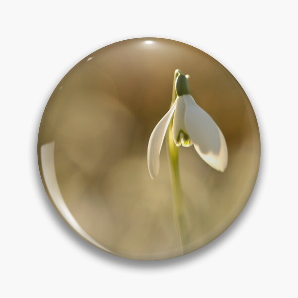 Item preview, Photograph, digital art photo Sunlit Snowdrop Cotswolds designed and sold by SimonJohnson1.