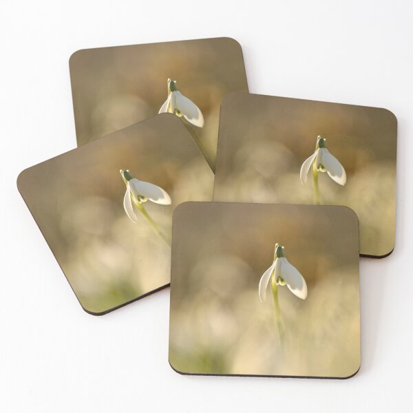 Item preview, Photograph, digital art photo Sunlit Snowdrop Cotswolds designed and sold by SimonJohnson1.