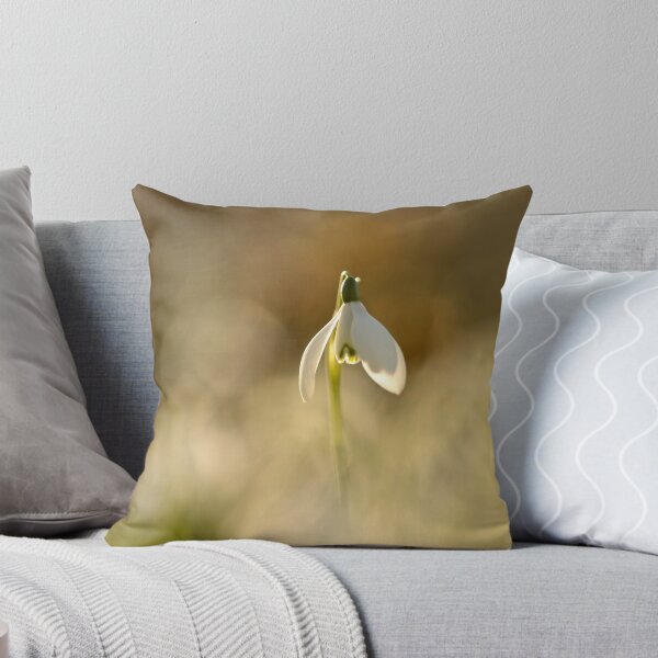Item preview, Photograph, digital art photo Sunlit Snowdrop Cotswolds designed and sold by SimonJohnson1.