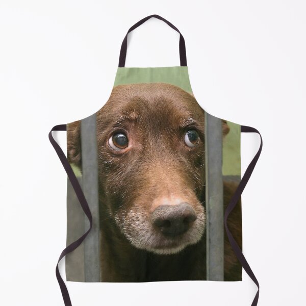 Item preview, closed designed and sold by gallofoto.