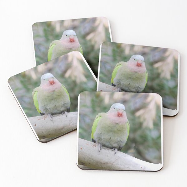Item preview, Detailed photo of a princess parrot relaxing designed and sold by hendrikspix.