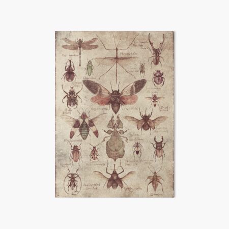 Insects (colored) Art Board Print