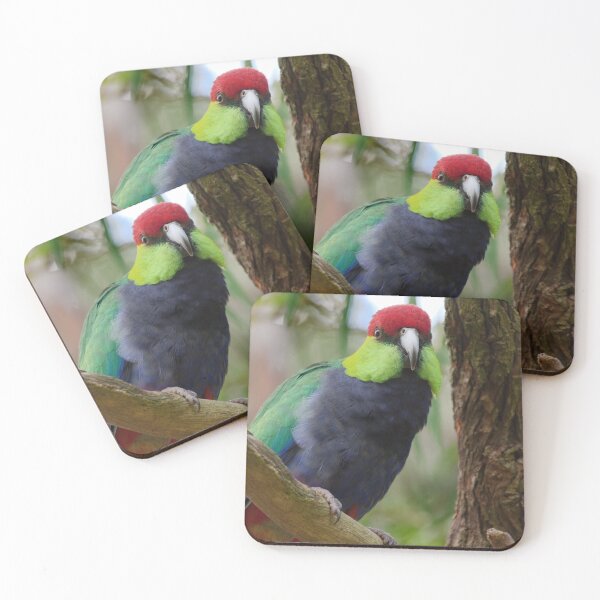 Item preview, Red Capped Parrot photo in a tree in the late afternoon designed and sold by hendrikspix.