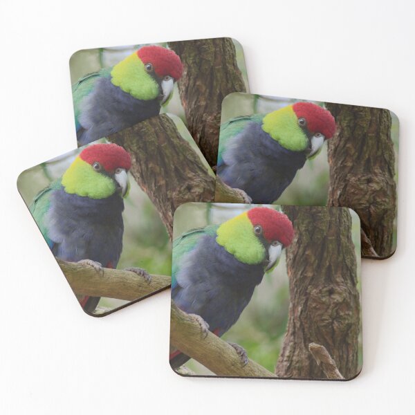 Item preview, Red Capped Parrot photo in a tree in the late afternoon designed and sold by hendrikspix.