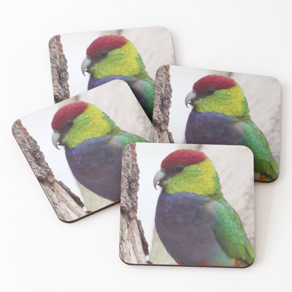 Item preview, Red Capped Parrot photo in a tree in the late afternoon designed and sold by hendrikspix.