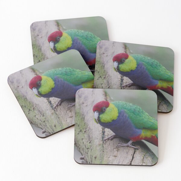 Item preview, Red Capped Parrot photo in a tree in the late afternoon designed and sold by hendrikspix.