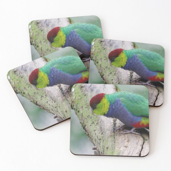 Item preview, Red Capped Parrot photo in a tree in the late afternoon designed and sold by hendrikspix.