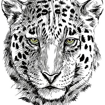 Snow Leopard Drawing - How To Draw A Snow Leopard Step By Step