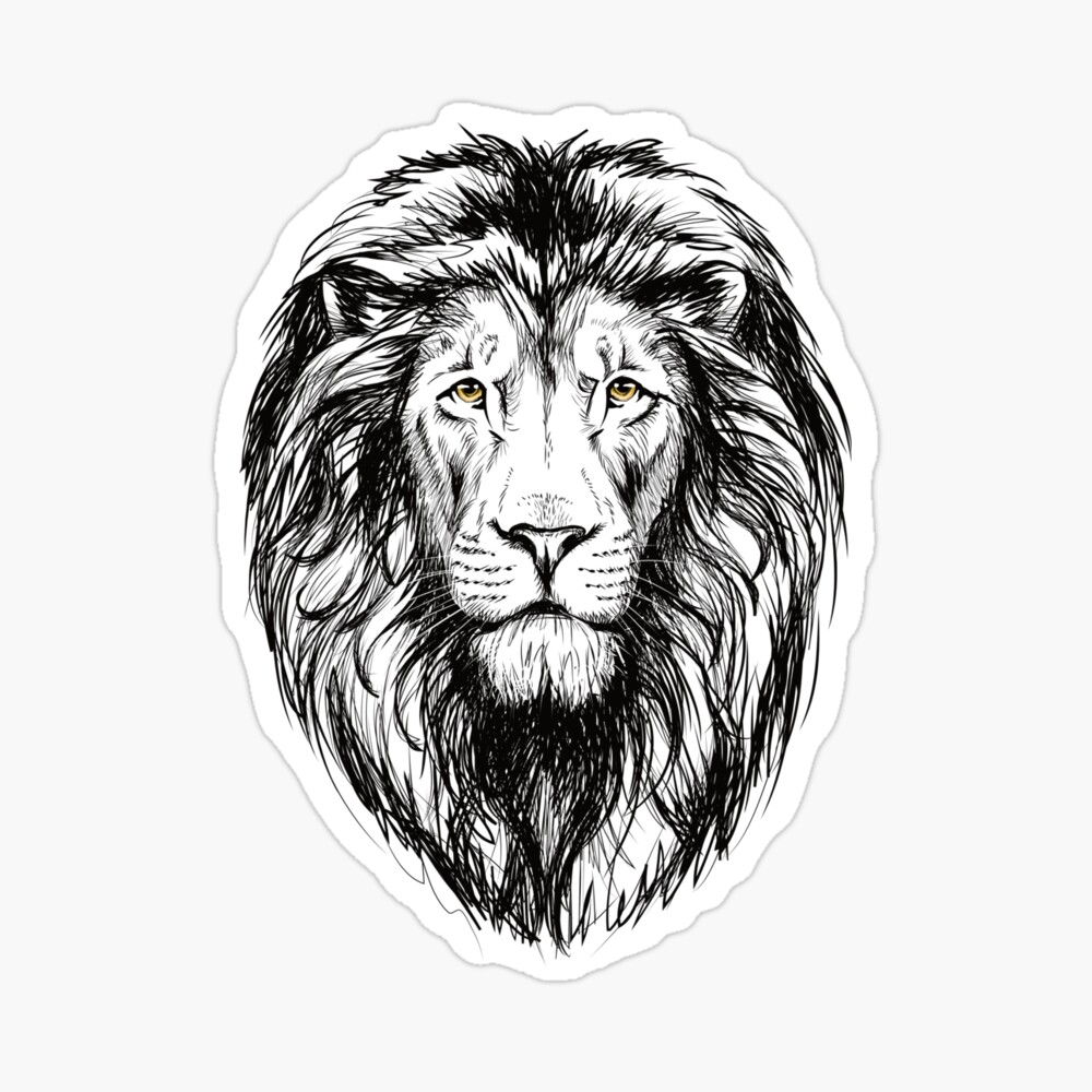 Image result for lion head draw | Lion head drawing, Lion art, Lion drawing