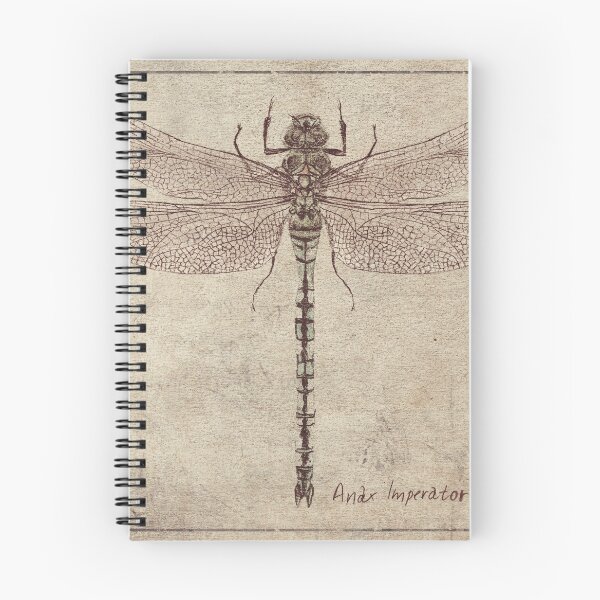 Item preview, Anax Imperator designed and sold by mikekoubou.