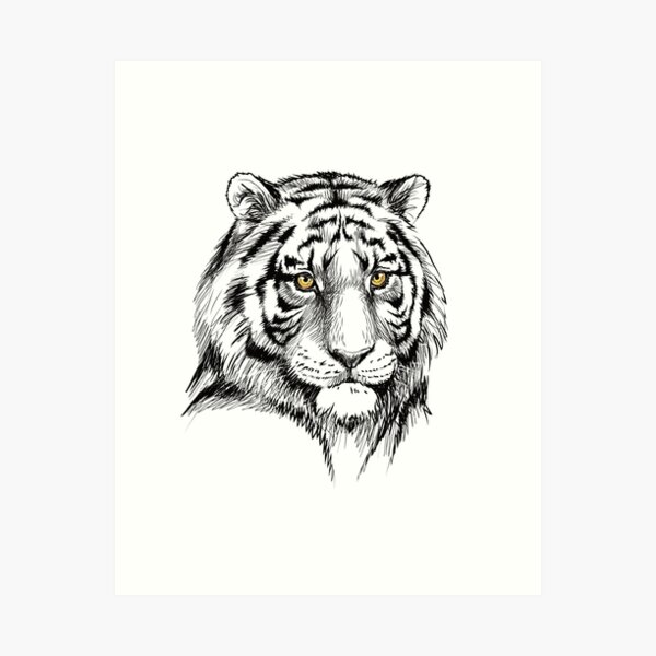 Stroke Line Tiger Design Pack Vector Download