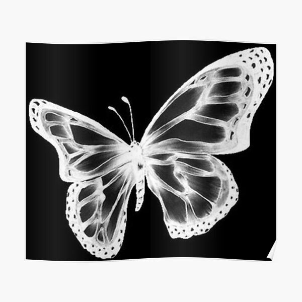 Featured image of post The Best 22 Black Butterfly Aesthetic Pfp