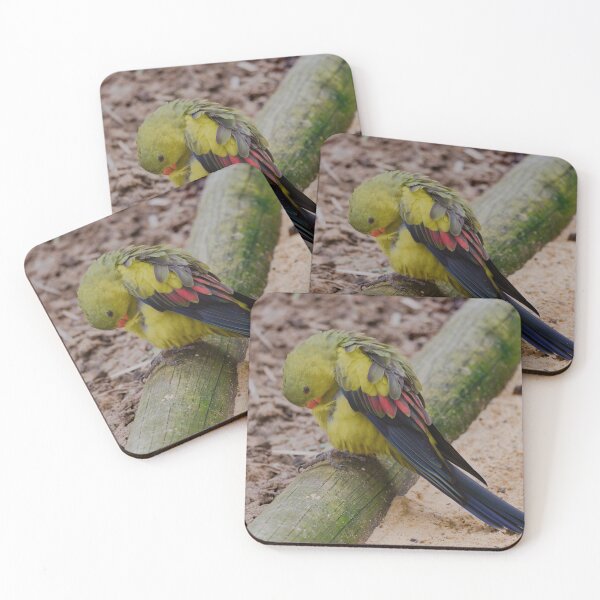 Item preview, Beautiful Regent parrot preening  designed and sold by hendrikspix.