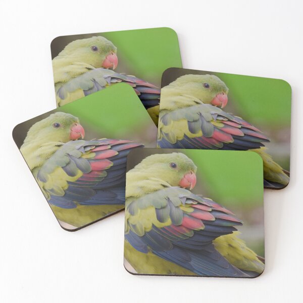 Item preview, Beautiful Regent parrot close up preening  designed and sold by hendrikspix.