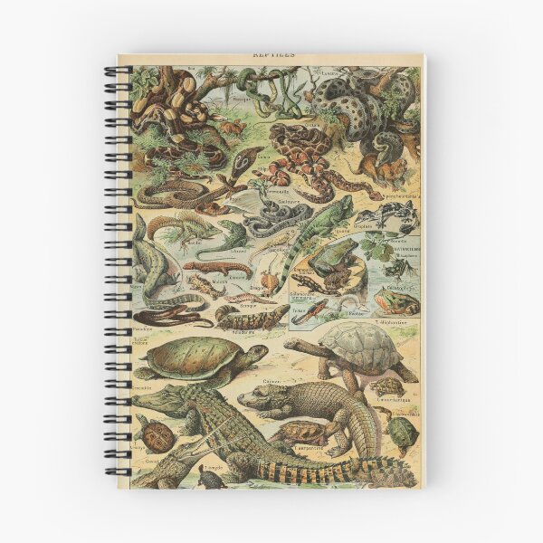 Artikelvorschau, Reptilien Vintage Illustration von Adolphe Millot entworfen und verkauft von AllergicAlien.