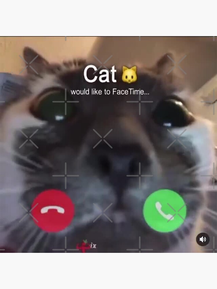 incoming facetime call incoming facetime call
