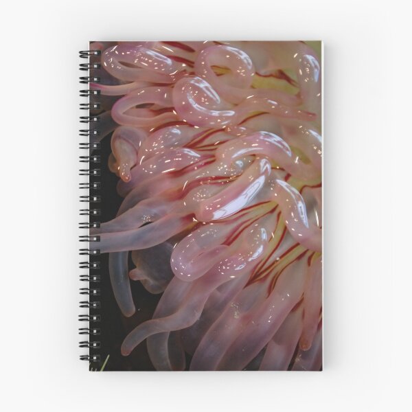 Item preview, squiggly designed and sold by Perggals© - Stacey Turner.