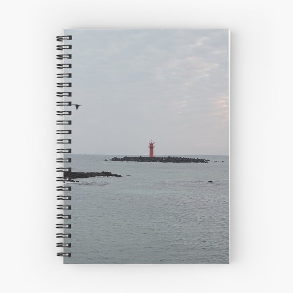 Item preview, Lighthouse and flying migratory birds in the early morning on a cloudy day in Gujwa, Jeju island in Korea designed and sold by human8891.