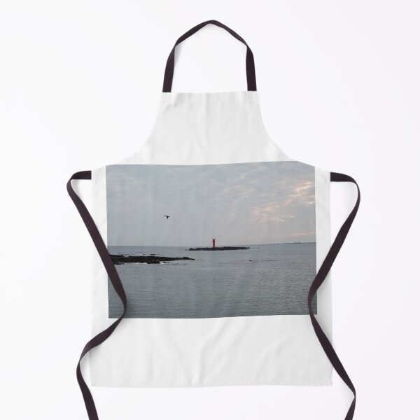 Item preview, Lighthouse and flying migratory birds in the early morning on a cloudy day in Gujwa, Jeju island in Korea designed and sold by human8891.