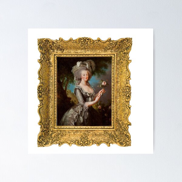 Marie Antoinette Inspired Painting // An Elegant Lady with Roses -- Lucius  Rossi Art Board Print for Sale by apopofbeauty