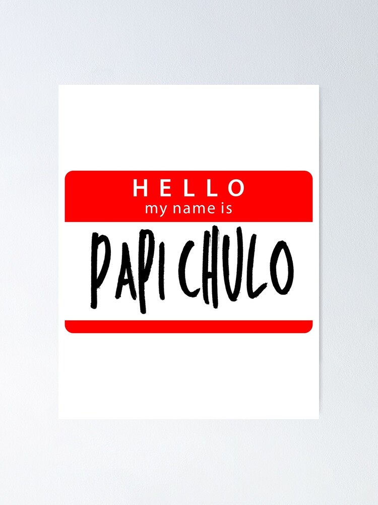 Hello My Name Is Papi Chulo Poster