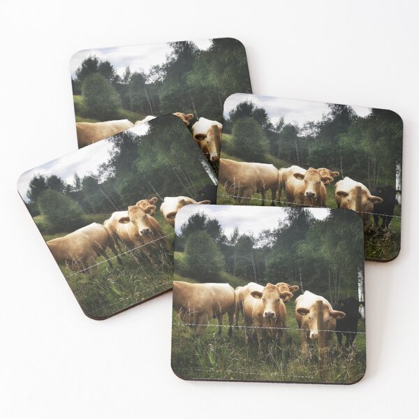 Item preview, Curious cows outside designed and sold by Digibee.