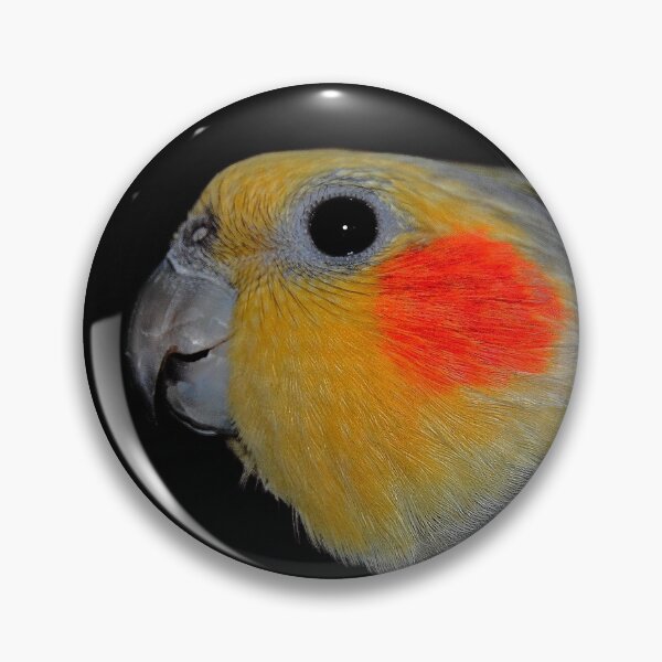 Item preview, The Cockatiel designed and sold by hawkie.