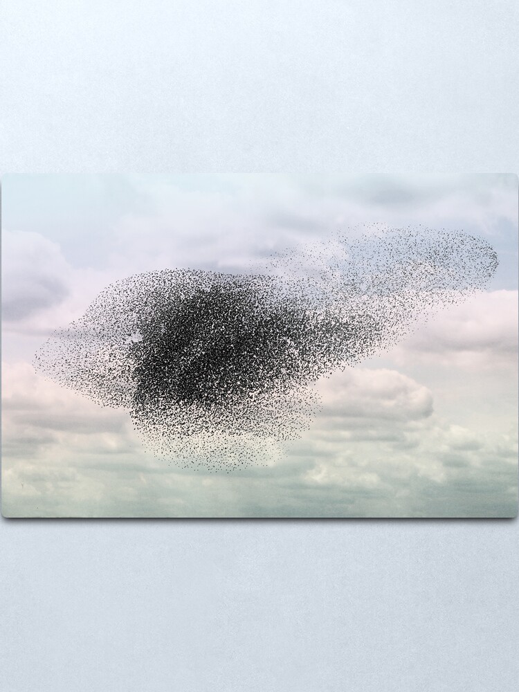 Alternate view of Swooping and looping Metal Print
