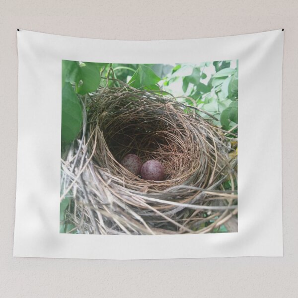 Item preview, Two Eggs Inside Birds Nest designed and sold by Luxxe87.
