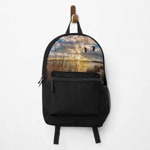 Incoming Backpack