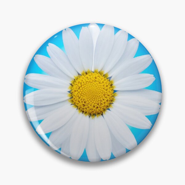 Item preview, Isolated white daisy flower on a blue background. designed and sold by Phillip Thornton.
