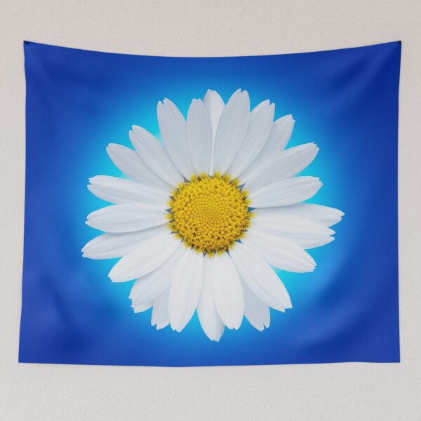 Item preview, Isolated white daisy flower on a blue background. designed and sold by Phillip Thornton.