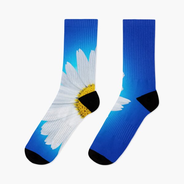 Item preview, Isolated white daisy flower on a blue background. designed and sold by Phillip Thornton.