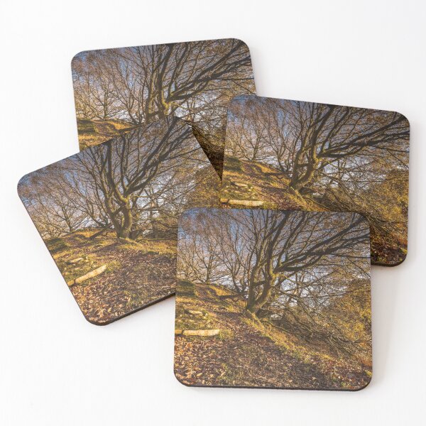 Item preview, Steps to Rocher Craggs designed and sold by Angie Morton.