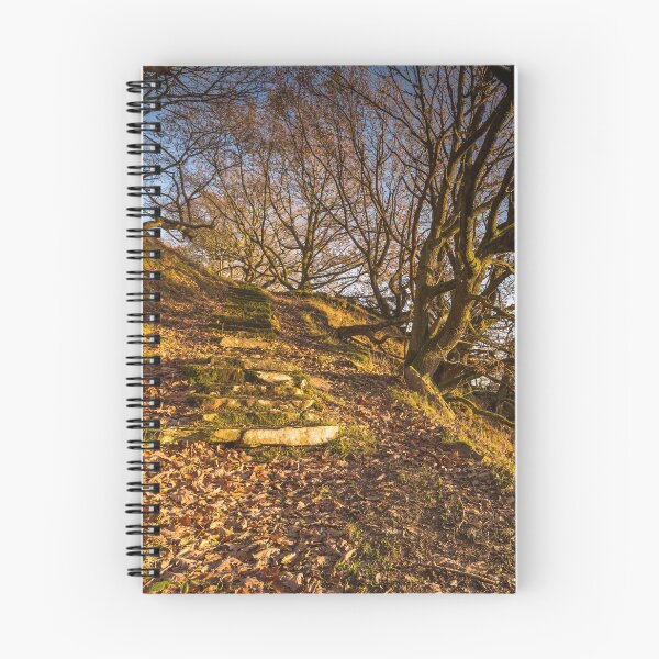Item preview, Steps to Rocher Craggs designed and sold by Angie Morton.