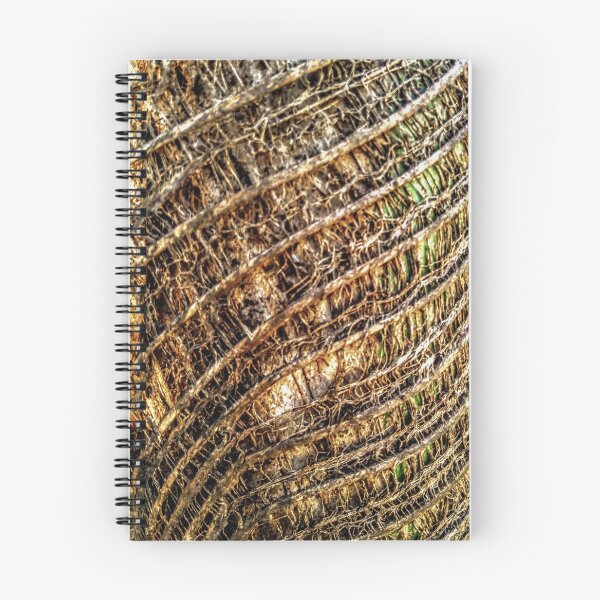 Item preview, Tree Roots photography designed and sold by Anvin Peeter.