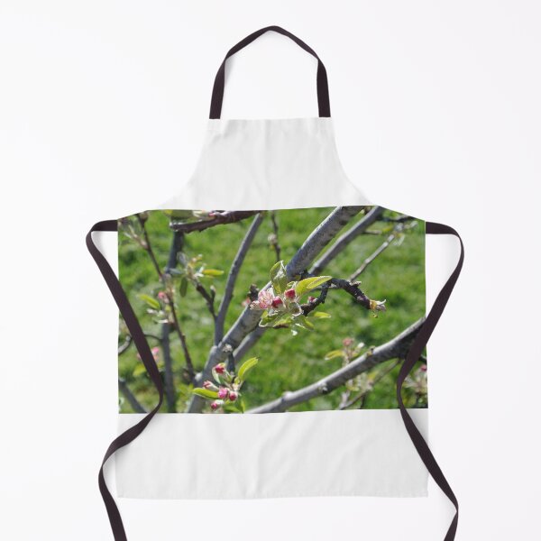 Item preview, Apple Blossoms designed and sold by errudd.