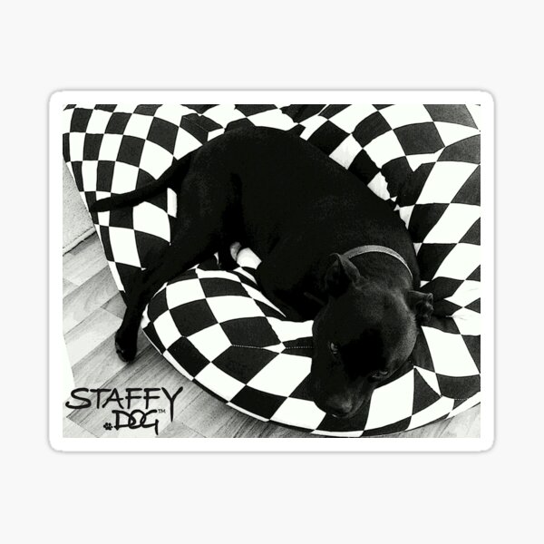 Item preview, Staffy Dog black on black and white designed and sold by amanda metalcat dodds.